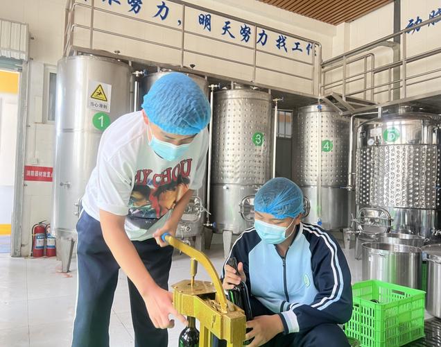 寧夏農業學校葡萄酒加工實訓 專業實踐助力農產品貯藏與加工人才培養