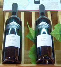 雪山紅葡萄酒 探索源頭與精湛的釀造工藝